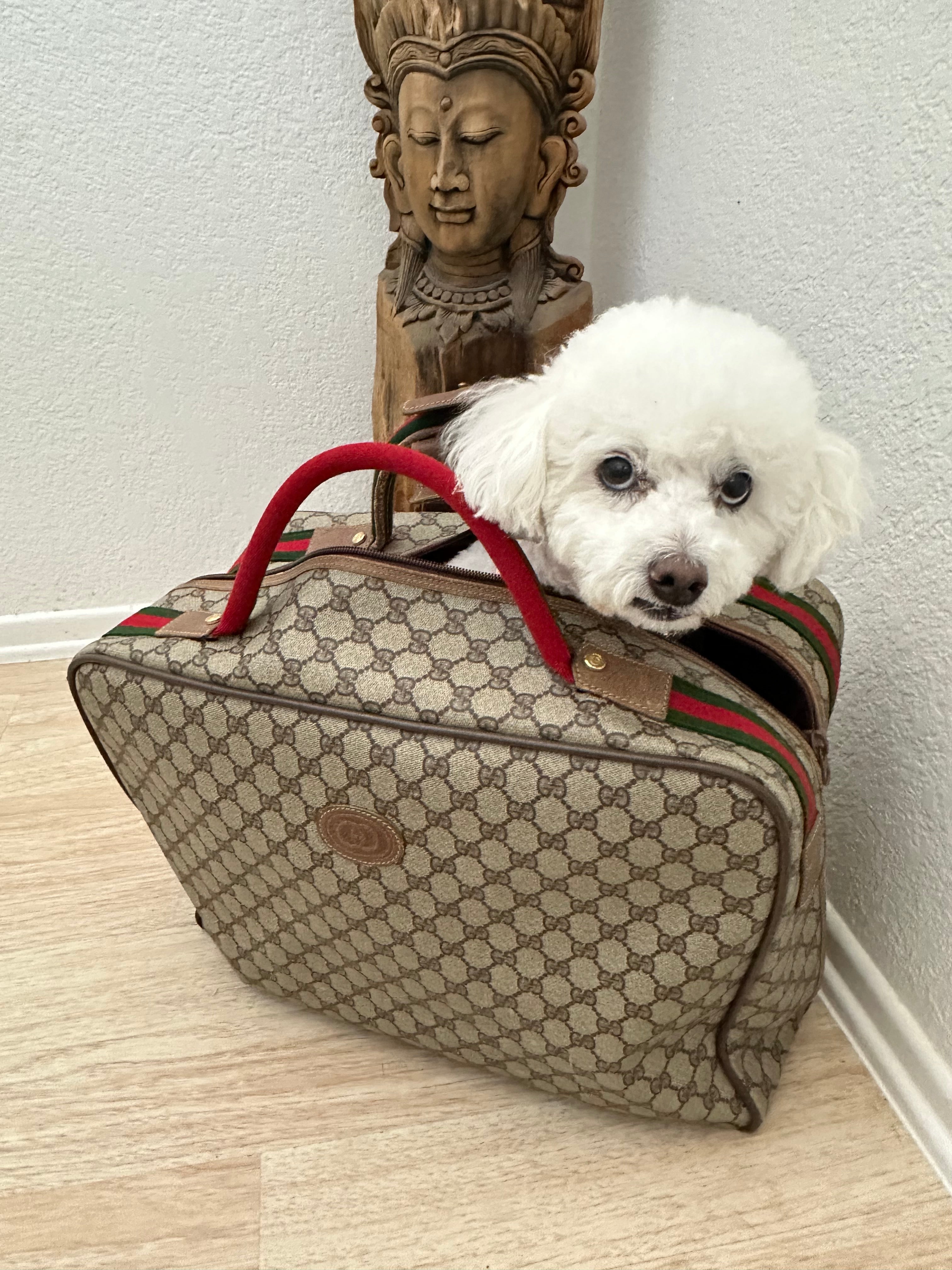Bark Luxe